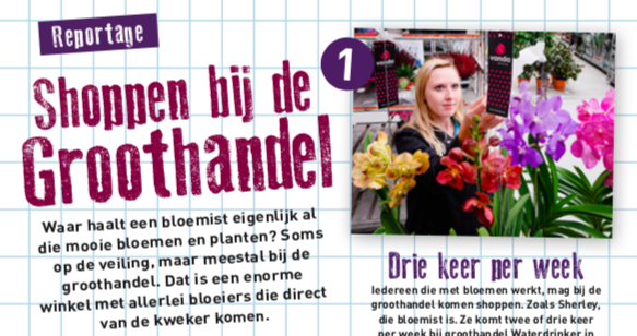 Schermafbeelding 2019 10 10 om 12.39.15