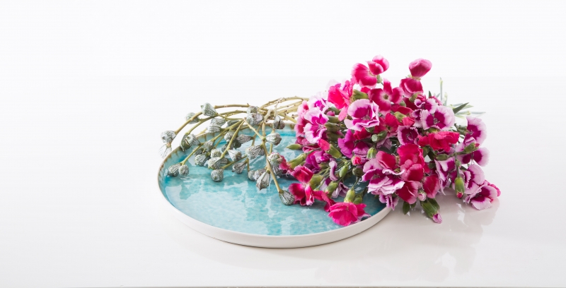 solomio design ingredients uitgesneden