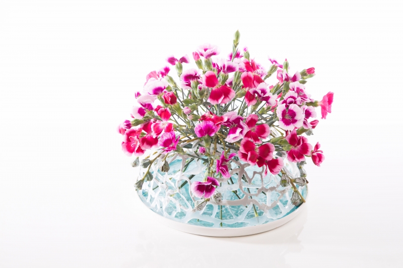 solomio design endresult