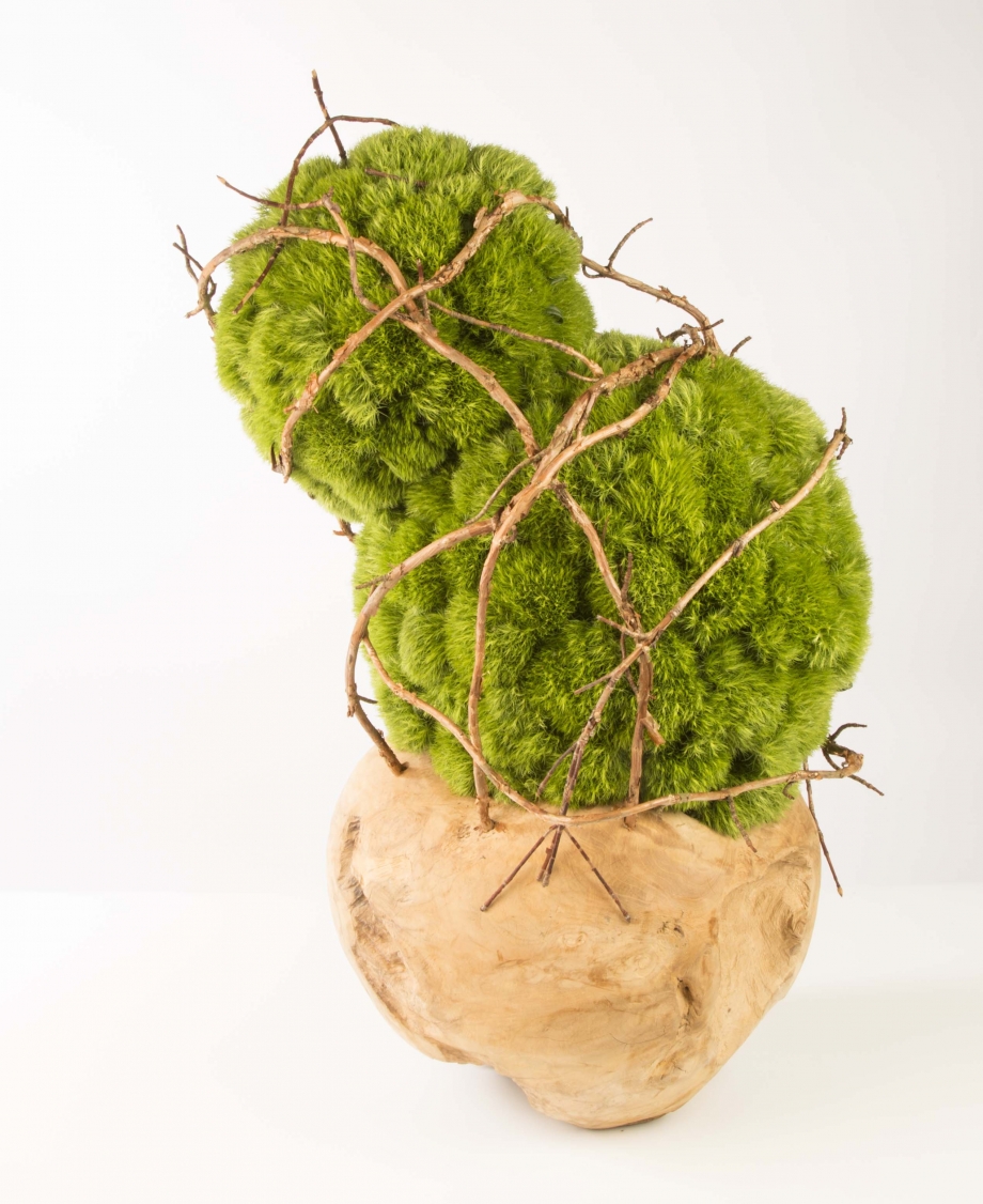 stap 2 Hydrangea takken toevoegen