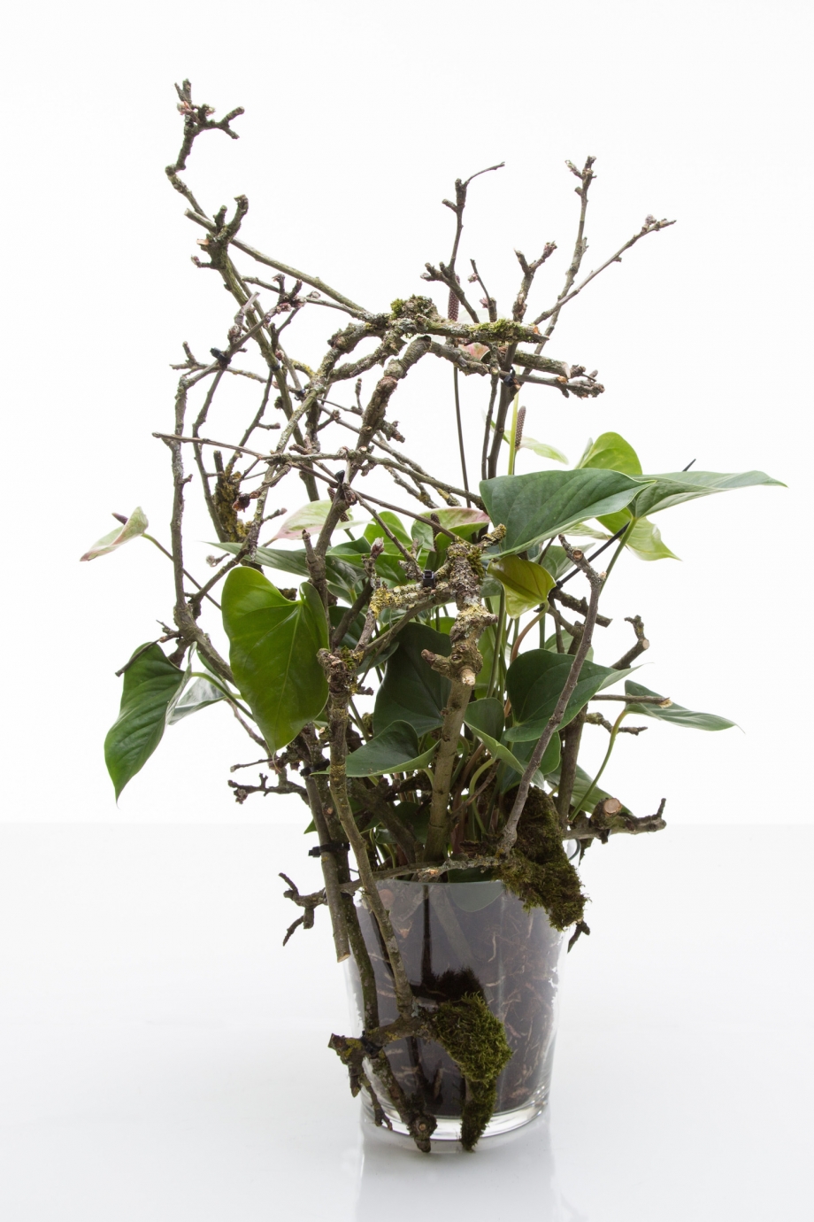 takjes met tiewraps geknipt 1