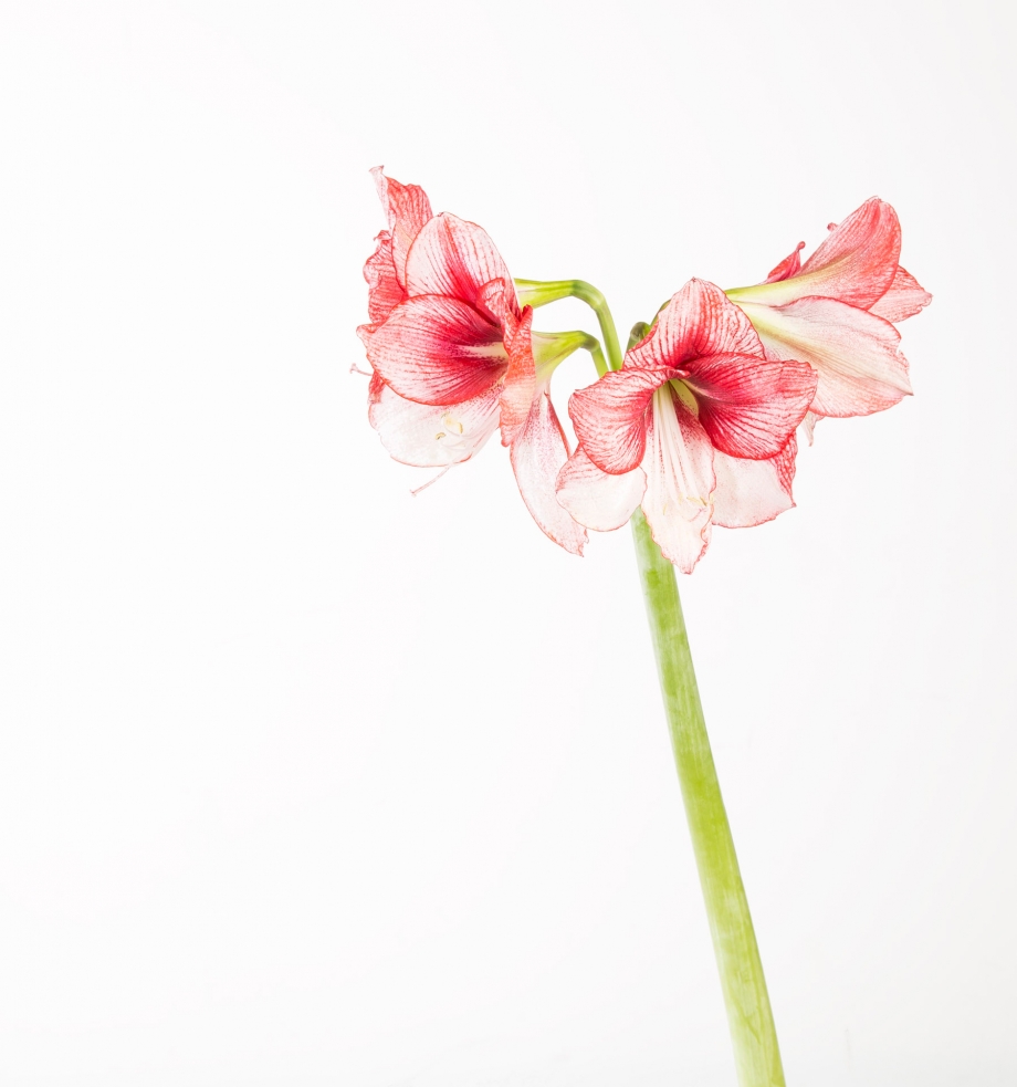 srgb570A07371