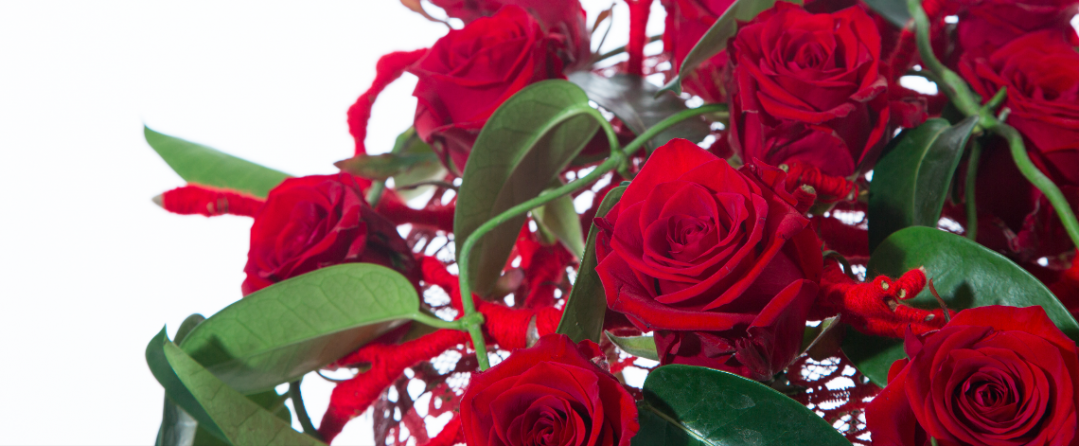 Schermafdruk 2018 02 01 10.28.29