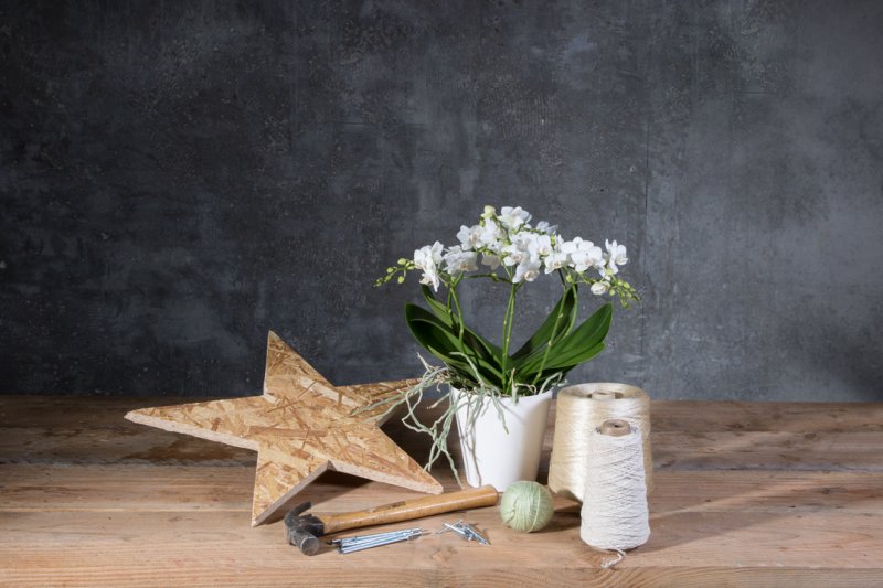 photo tutorial Winter orchid arrangement materials4