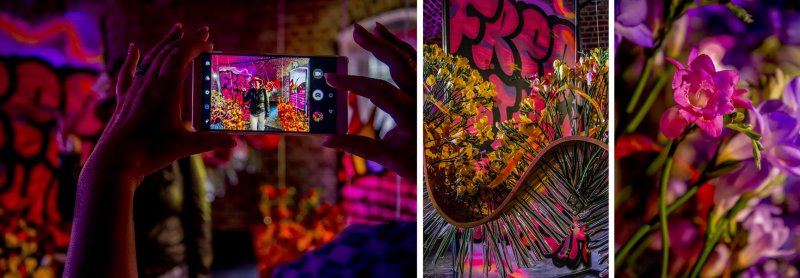 compilation freestylefreesia fleuramour 2021