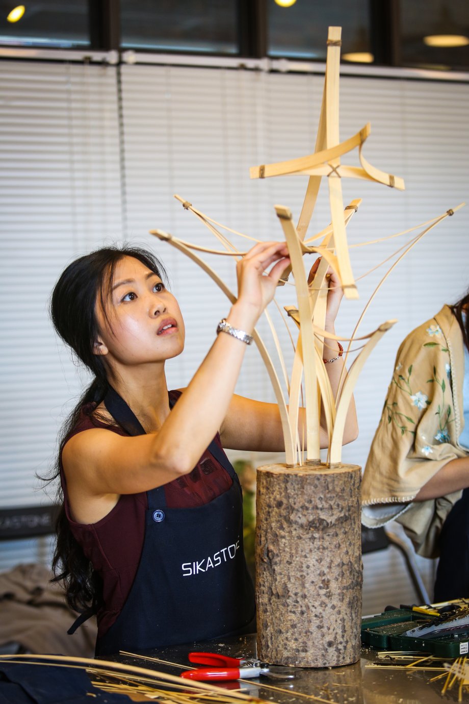 sikastone masterclass18