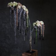 Een total beeld van de bloemen kandelaar