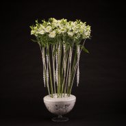Feestelijk design met Alstroemeria's