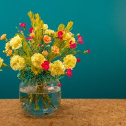 Dianthus frameboeket