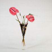 origineel Anthurium boeket - Roos van Unen - Flower Factor