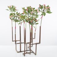 Industrieel Alstroemeria design