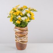 Een oase van Freesia geur