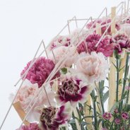 Close-up van de zijkant