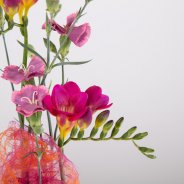 Verjaardagsbloemstuk met Freesia close-up