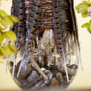 Cascade Cymbidium 'Argiro' - close-up