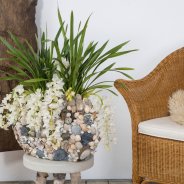 Strandinterieur met de Ice Cascade Cymbidium