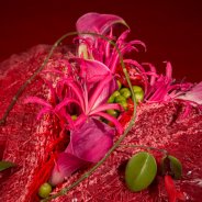 Een Valentijnshart met Nerine en Calla