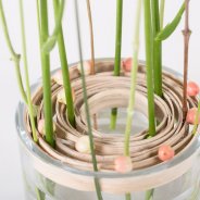 Pim van Akker Freesia Tall Serene3 3