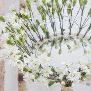 Spiegelend anjer boeket close up