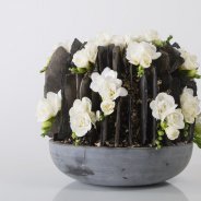 Eerbiedig Freesia arrangement