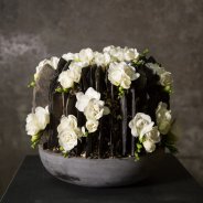 Eerbiedig Freesia rouwarrangement