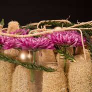 Romance Purple for Christmas Zentoo Roos van Unen Flower Factor 2 1