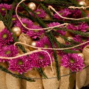 Romance Purple for Christmas Zentoo Roos van Unen Flower Factor 3 1