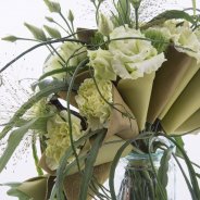 Leren kegels met trendy Dianthus close-up