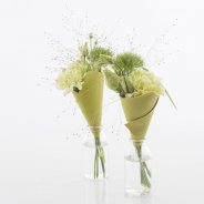 Leren kegels met trendy Dianthus commerciële versie 