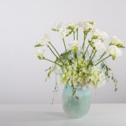 Romantisch Freesia vaas design