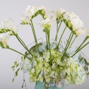 Romantisch Freesia design close-up