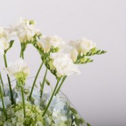 Romantisch Freesia design