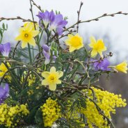 Ruik de Lente Freesia boeket door Inge Quint