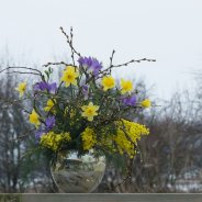 Ruik de Lente Freesia boeket door Inge Quint