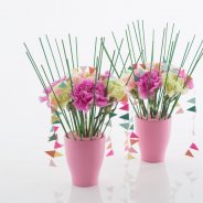 Trendy Dianthus klein commercieel feestelijk design door Alex Segura met Oasis Rainbow Floral Foam