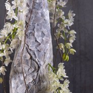 Cybidium 'Ice Cascade' kerstbloemwerk - LZ Orchidee - Flower Factor