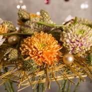 'Rossano Orange' en 'Rossano Charlotte'