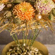 De 'Rossano Orange' en 'Rossano Charlotte'