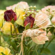 Herfst arrangement met trosrozen close-up