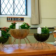 Advent arrangement met Kalanchoë