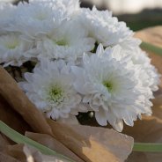 Baltica bouquet outside Nelleke Bontje Deliflor Flower Factor