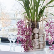 Cascade Cymbidium 'Anisa' en hout - close-up