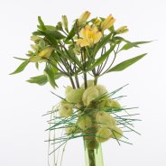 Leuk lente boeket met Alstroemeria close-up