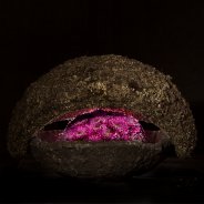 Purple Romance van Zentoo in design Roos van Unen