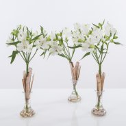 Kleine commerciële vaasjes met bloeiende Alstroemeria