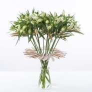 Zomers ontwerp met Alstroemeria 'Frozen'