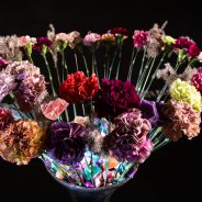 TrendyDianthus design by Roos van Unen Flower Factor