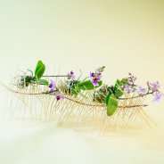 orchidee design idee door Pim van den Akker