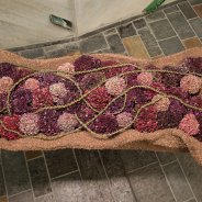 Verschillende kleuren classic Hortensia