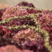 Kistbedekking met classic Hortensia